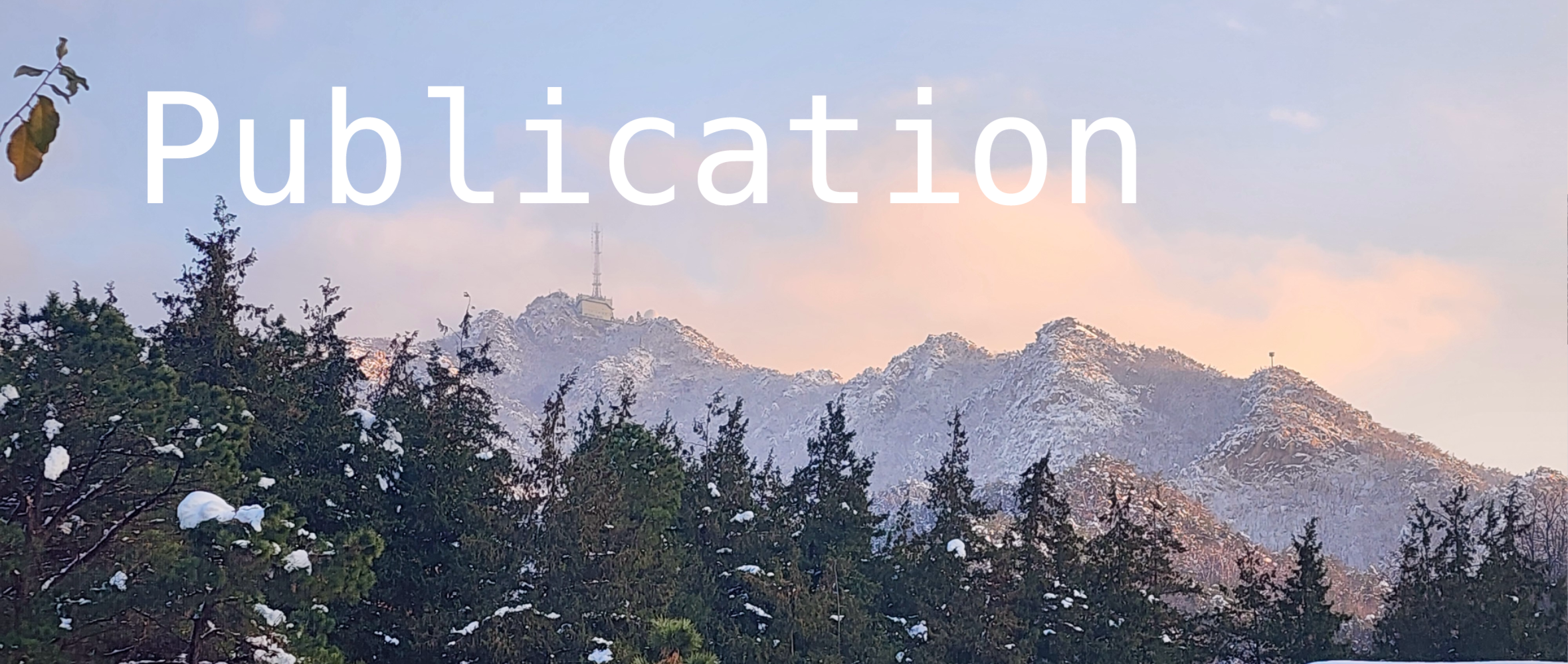 Publications